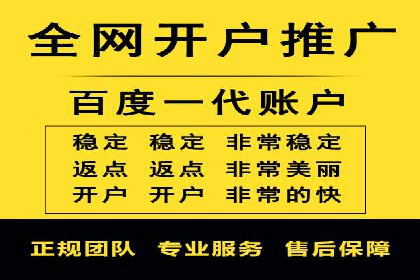 SEM代理的优化策略及成功案例